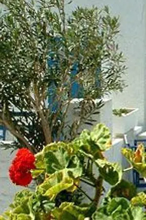 Hotel Castello *